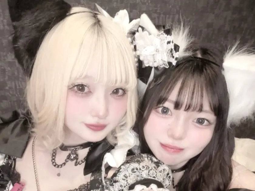 LiLiPet(リリペット)