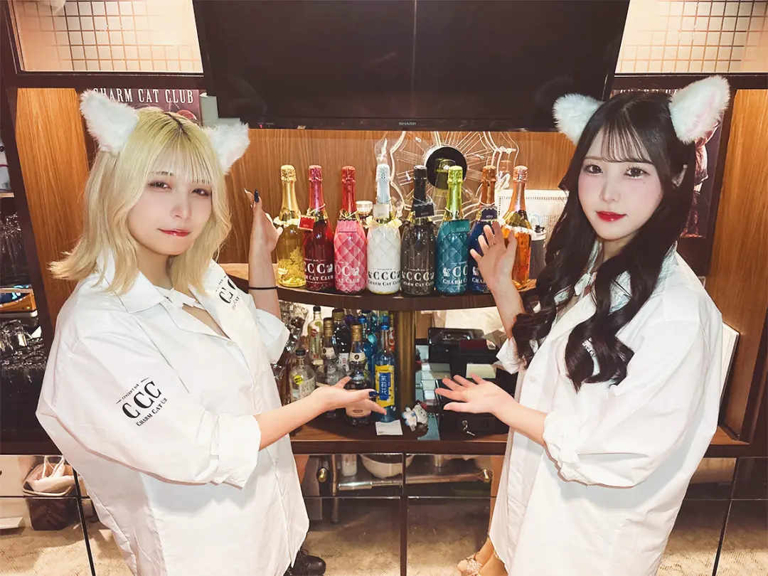 CHARM CAT CLUB(チャームキャットクラブ)