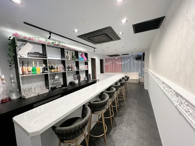 DollyCats(ドーリーキャッツ)