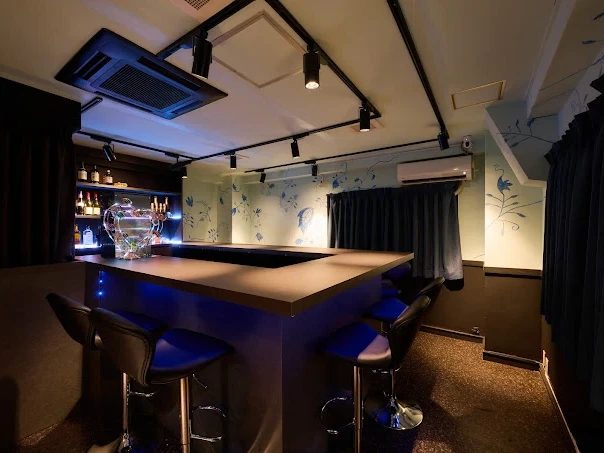 Girls Bar でぃんぷる