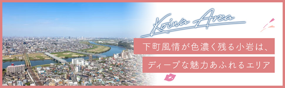 小岩エリアの特色