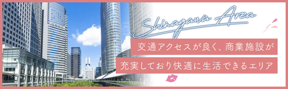 品川・大井町エリアの特色